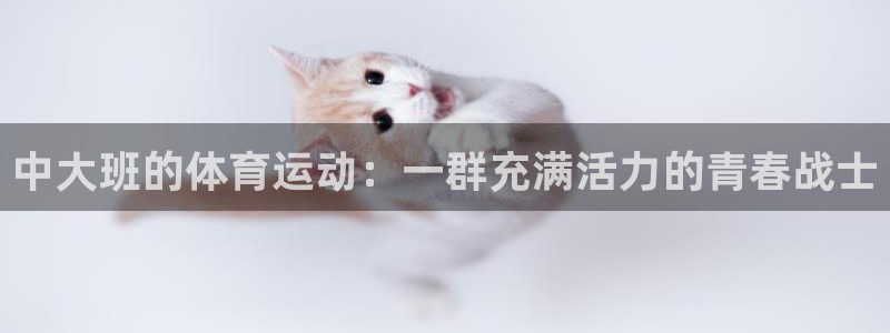 中大班的体育运动：一群充满活力的青春战士