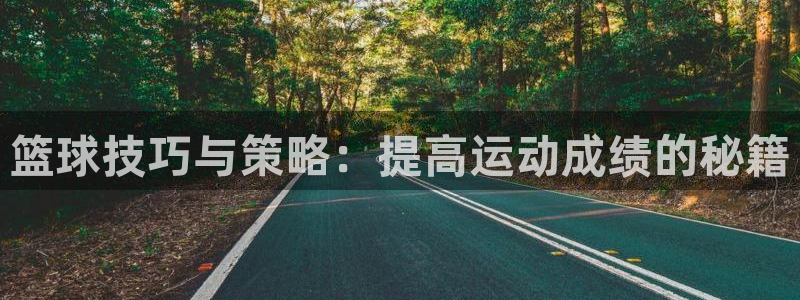 篮球技巧与策略：提高运动成绩的秘籍