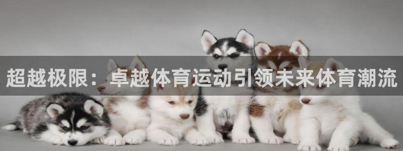超越极限：卓越体育运动引领未来体育潮流