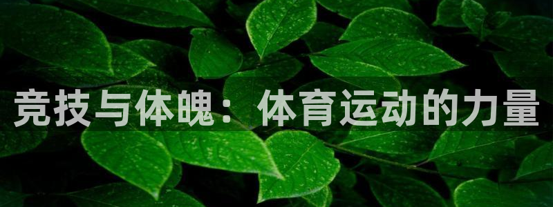 竞技与体魄：体育运动的力量